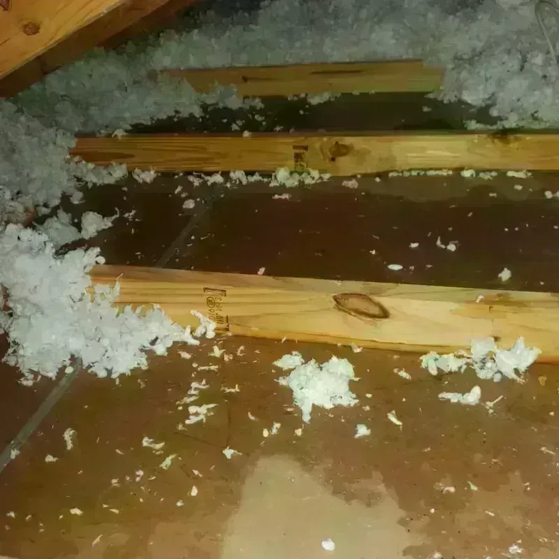 Attic Water Damage in Idalou, TX