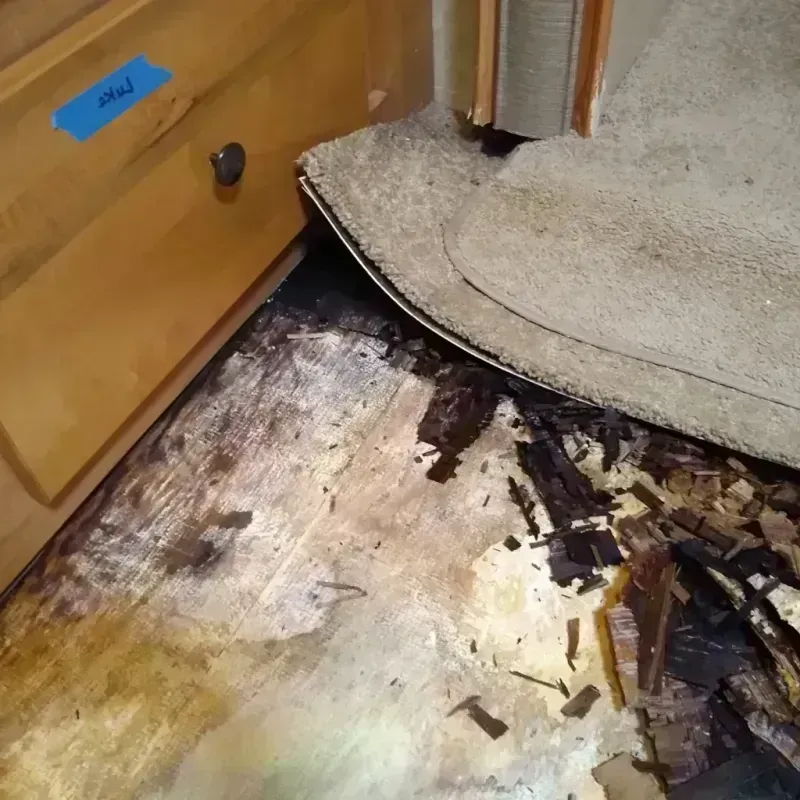 Wood Floor Water Damage in Idalou, TX